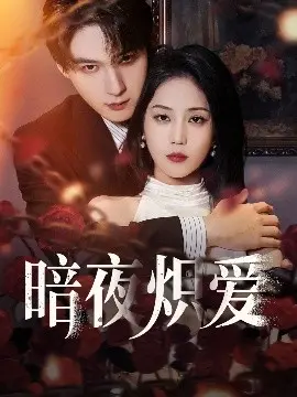 暗夜炽爱 海报