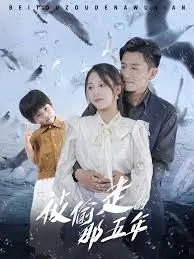 被偷走的那五年 海报